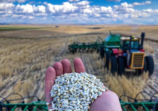 Environmental Responsibility – Not That Simple